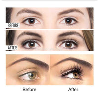 Veloria™ Magnetic Lash Kit