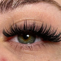 Veloria™ Magnetic Lash Kit