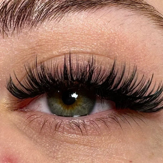 Veloria™ Magnetic Lash Kit