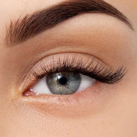 Veloria™ Magnetic Lash Kit